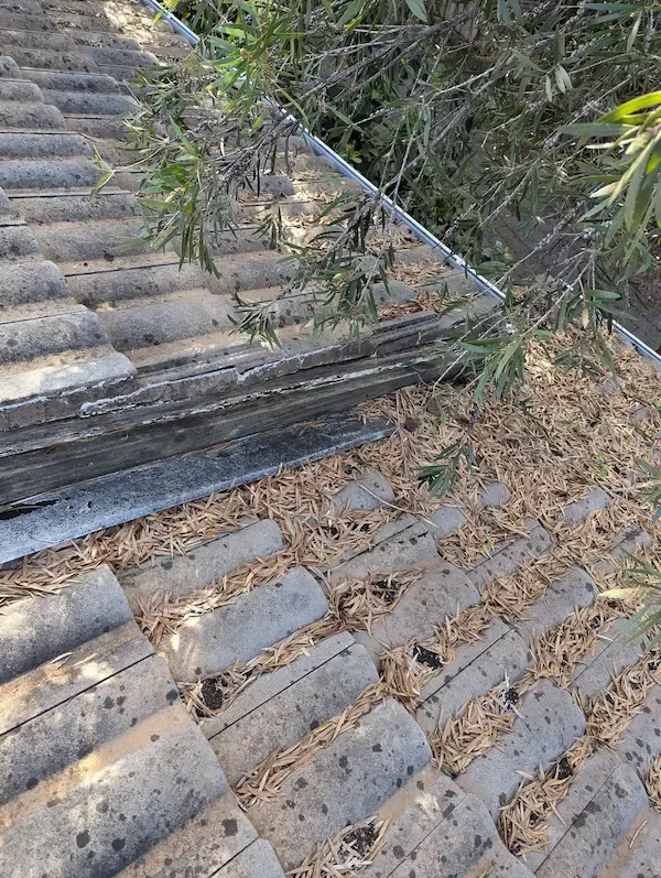 Melbourne roof restoration completed by True Roof