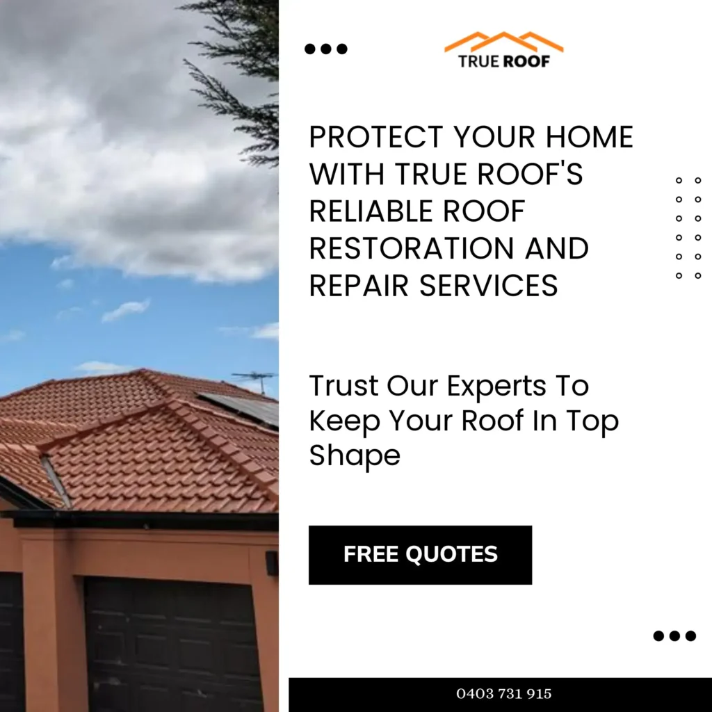 Free Quotes For Terracotta Roofing By True Roof